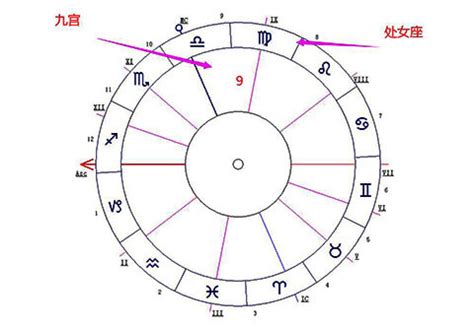 9宫|占星第九宫详解